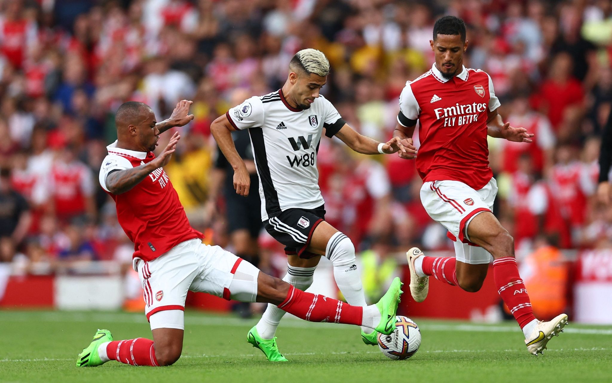 到体育文化 到体育文化